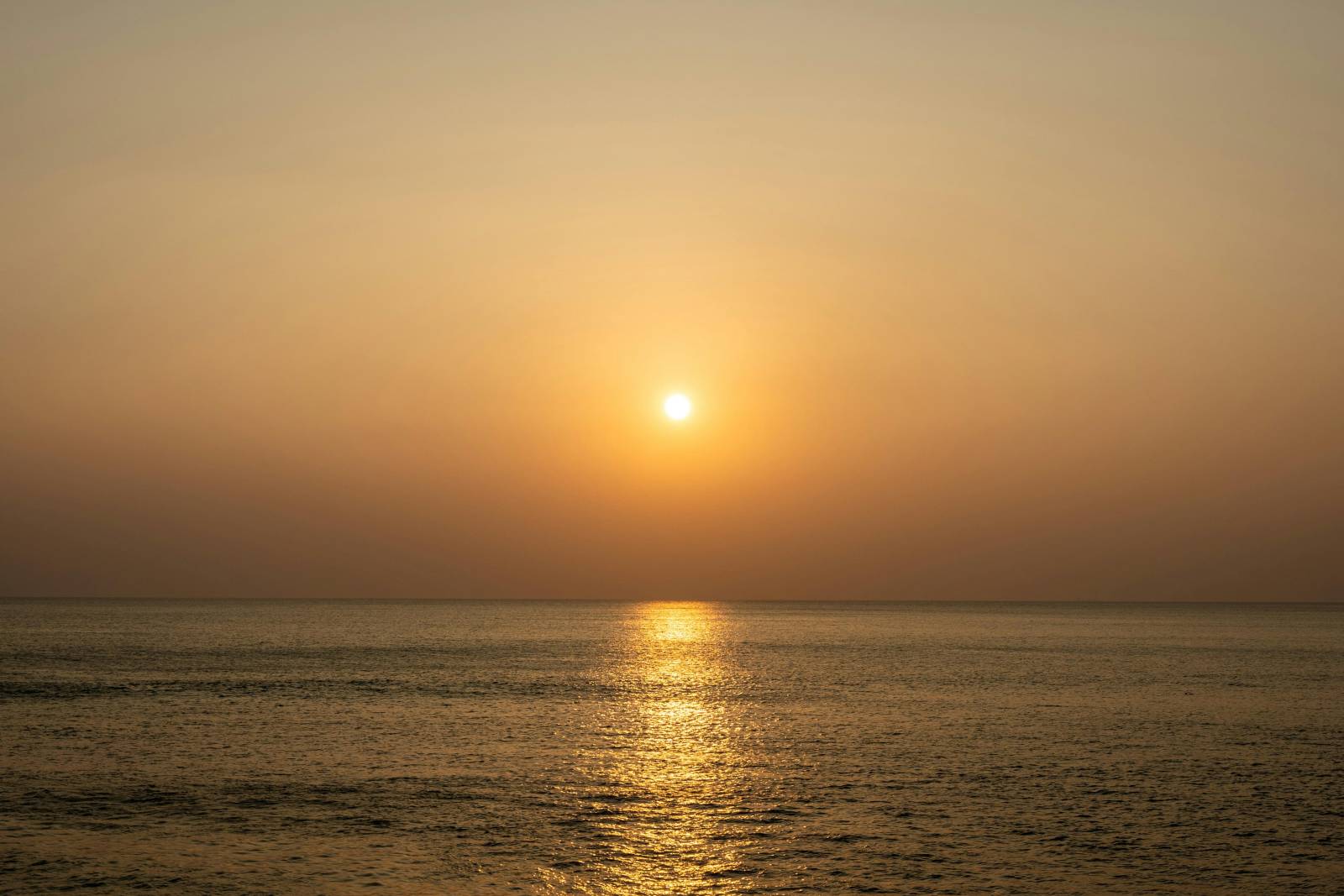 Nouvelle aire de camping-car à Sainte-Marie-la-Mer (66) – Un espace moderne et sécurisé pour vos séjours en toute liberté
